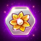 Summer Festival Coin