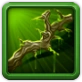 Branch of Antiaris
