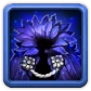 Equipment: Raven King's Cloak