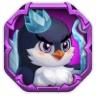 Possible patron pet: Biscuit