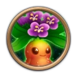 Mandrake Flower