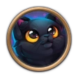 Furry Cat