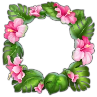 Tropical Frame