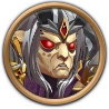 Jorgen's Champion Skin reached level 1