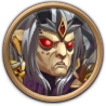 Jorgen's Champion Skin reached level 1