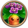 Mandrake Flower