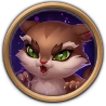 Feline Fury